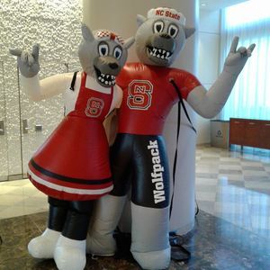 Meet your Posher, Cathy